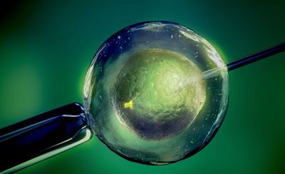 FIV (Fertilização in Vitro): o que acontece com o embrião depois da transferência?